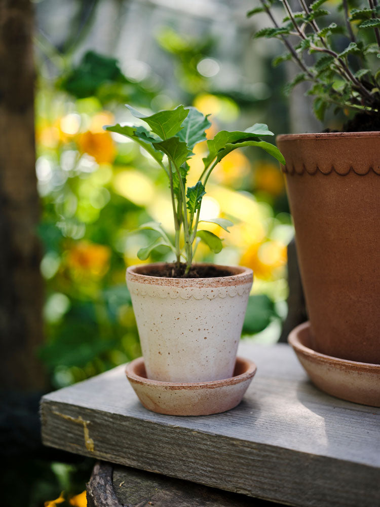 Bergs Potter 丹麥手工花盆復古北歐風 Helena系列 簡約多肉粗陶盆