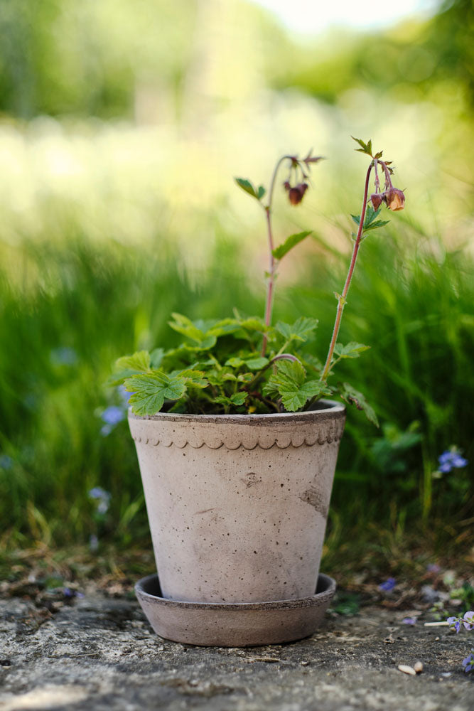 Bergs Potter 丹麥手工花盆復古北歐風 Helena系列 簡約多肉粗陶盆
