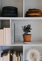 Bergs Potter 丹麥手工花盆復古北歐風 Helena系列 簡約多肉粗陶盆