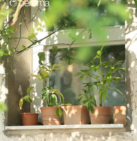 Deroma 帝羅馬 義大利進口多肉陶土花盆