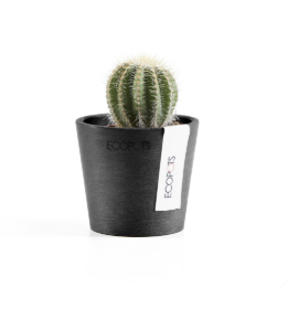 Ecopots 比利時環保樹脂進口花盆 Amsterdam mini 阿姆斯特丹迷你系列 手工磨面紋理