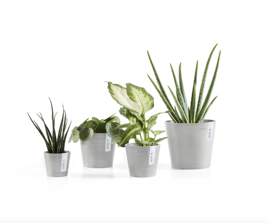 Ecopots 比利時環保樹脂進口花盆 Amsterdam mini 阿姆斯特丹迷你系列 手工磨面紋理