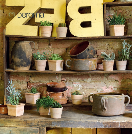 Deroma 帝羅馬 義大利進口多肉陶土花盆
