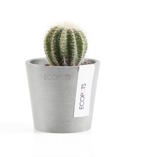 Ecopots 比利時環保樹脂進口花盆 Amsterdam mini 阿姆斯特丹迷你系列 手工磨面紋理