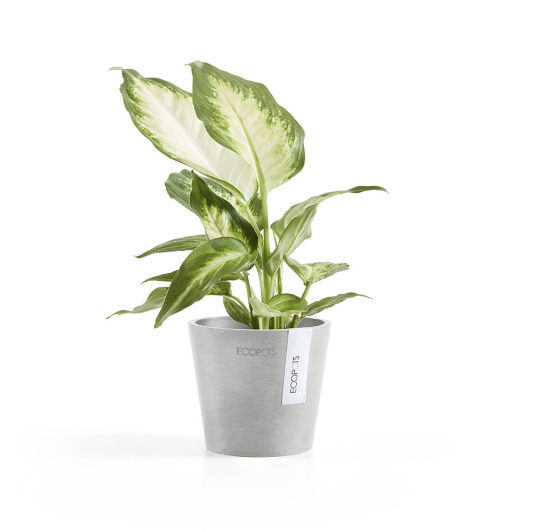 Ecopots 比利時環保樹脂進口花盆 Amsterdam mini 阿姆斯特丹迷你系列 手工磨面紋理